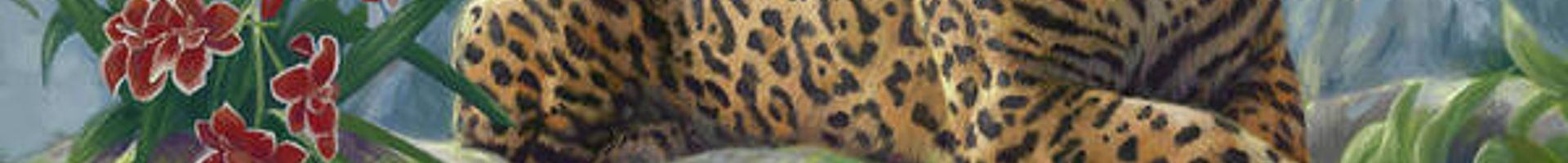 Mistah_Jestah's banner