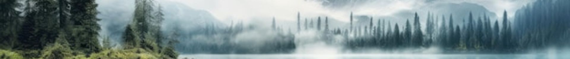Pholaresense's banner