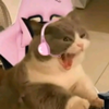 faykn's profile picture