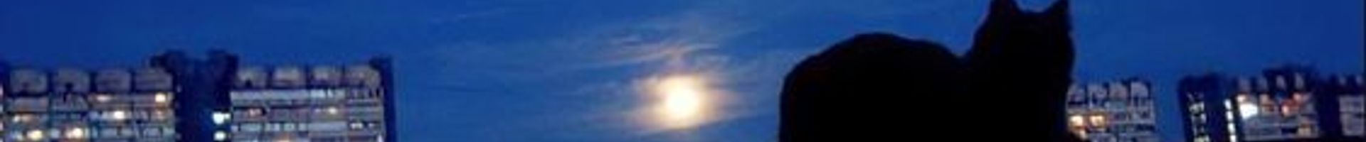 StarVss's banner