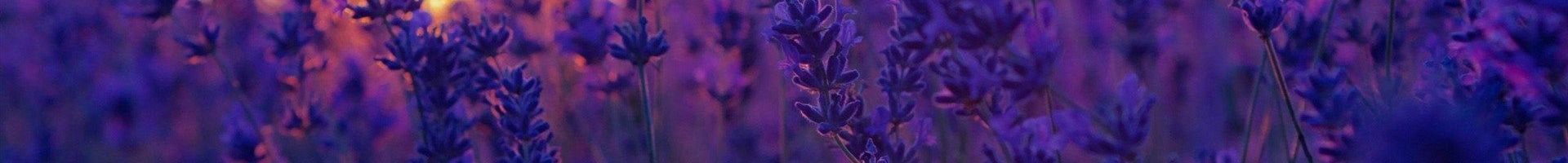 ASIAMYLOVE's banner