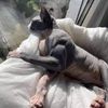 BornOn911's profile picture