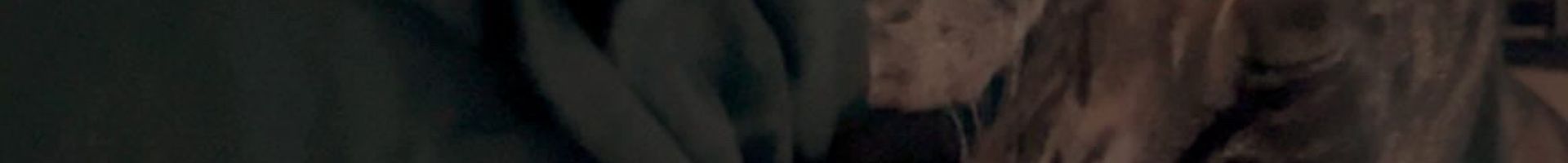 StoneWall25's banner