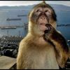 Poppasmoke's profile picture