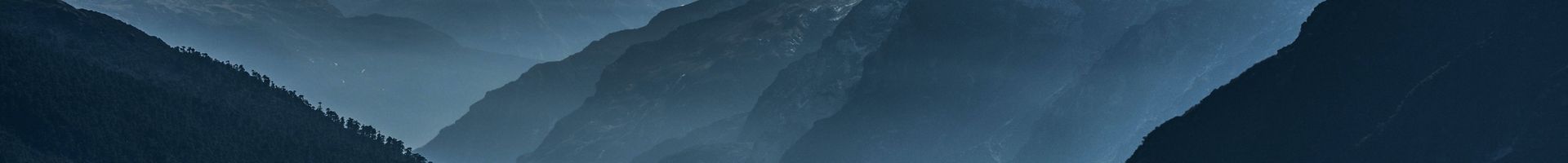 Velemmyy's banner